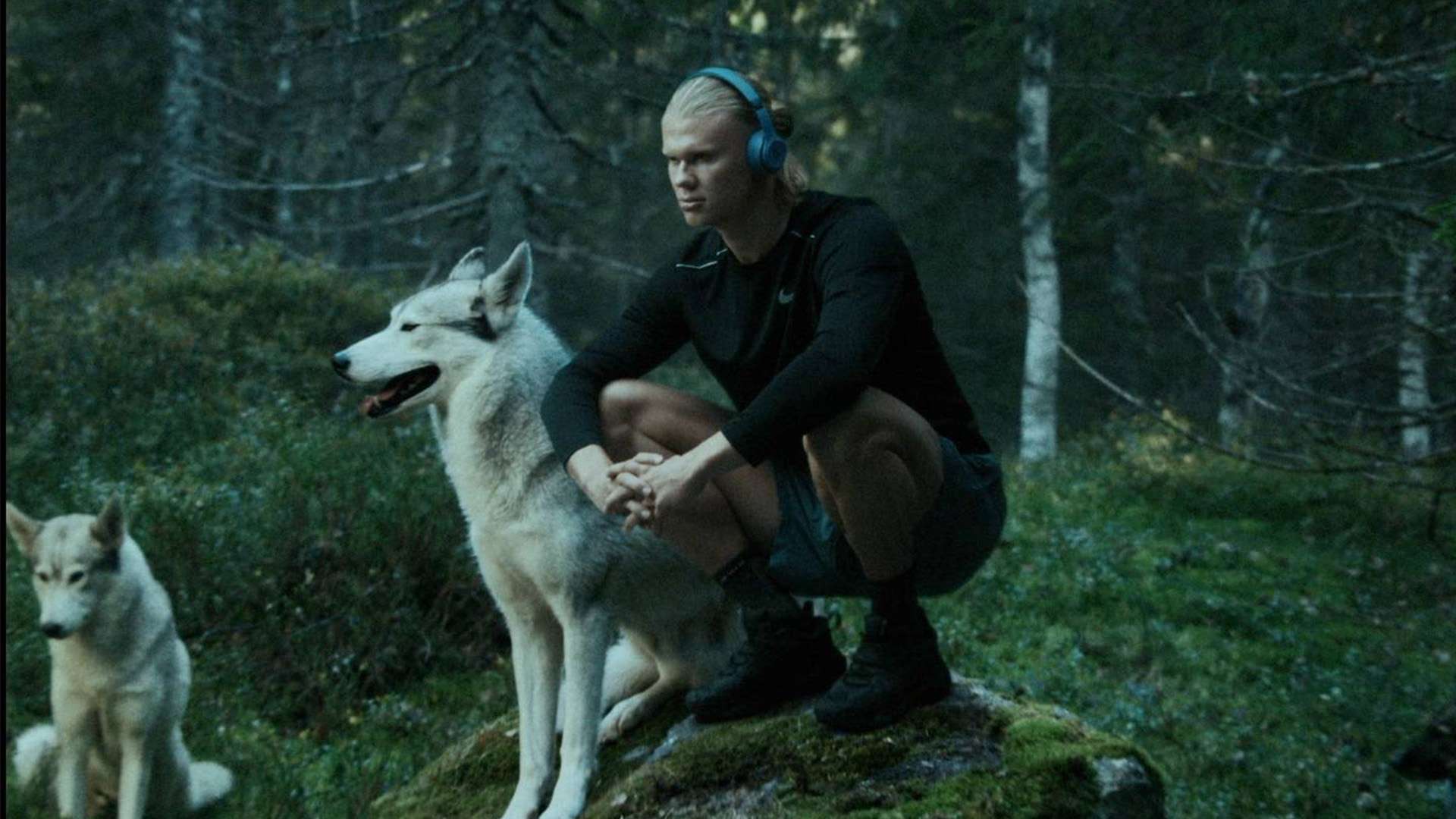 还为球队注 还为球队注